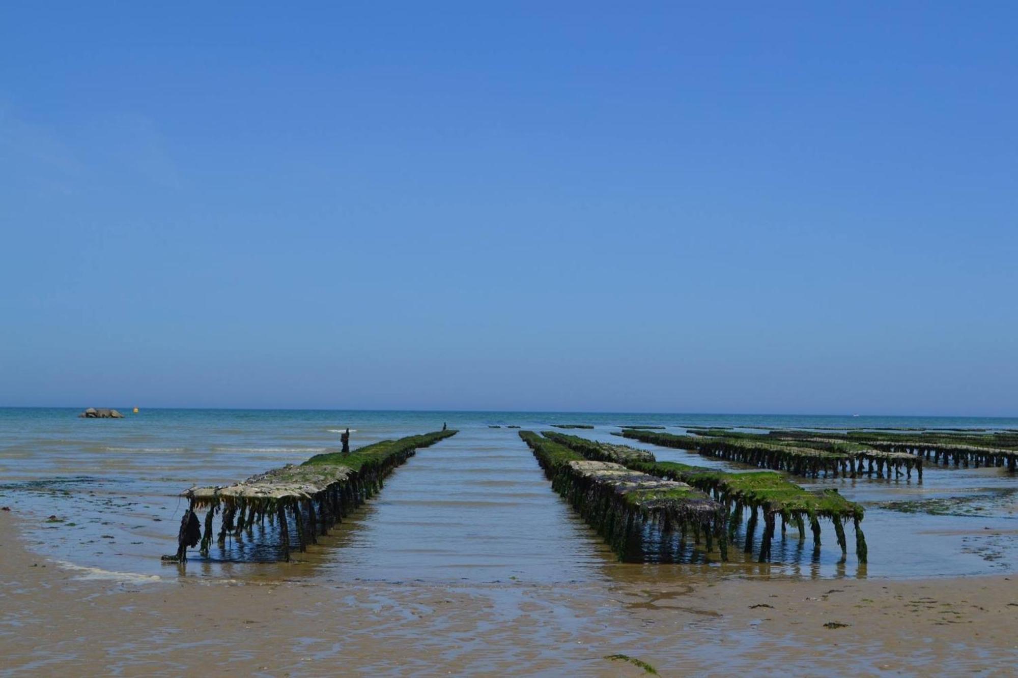 Nid De Pie Grand Duplex Lumineux Cadre Verdoyant Calme A 5 Mn De La Mer Pres Port En Bessin, Bayeux, Omaha Beach, Commes Eksteriør bilde